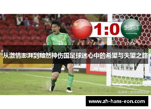 从激情澎湃到黯然神伤国足球迷心中的希望与失望之路